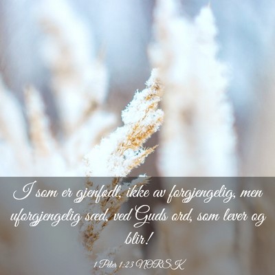 Picture 03 - 1 Peter 1:23 NORSK - I som er gjenfødt, ikke av forgjengelig, men - Bible Verse Picture