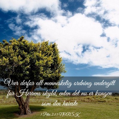 Picture 03 - 1 Peter 2:13 NORSK - Vær derfor all menneskelig ordning undergitt for - Bible Verse Picture