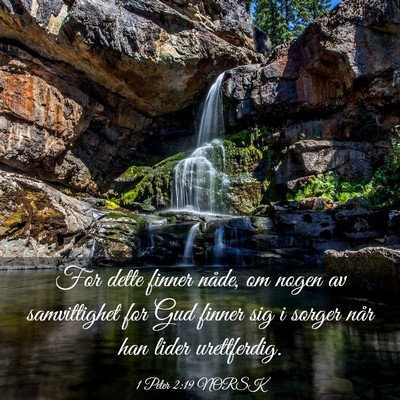 Picture 03 - 1 Peter 2:19 NORSK - For dette finner nåde, om nogen av samvittighet - Bible Verse Picture