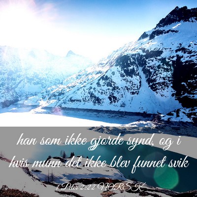 Picture 03 - 1 Peter 2:22 NORSK - han som ikke gjorde synd, og i hvis munn det ikke - Bible Verse Picture