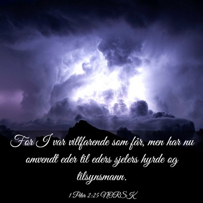 Picture 03 - 1 Peter 2:25 NORSK - For I var villfarende som får, men har nu - Bible Verse Picture