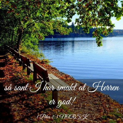 Picture 03 - 1 Peter 2:3 NORSK - så sant I har smakt at Herren er - Bible Verse Picture