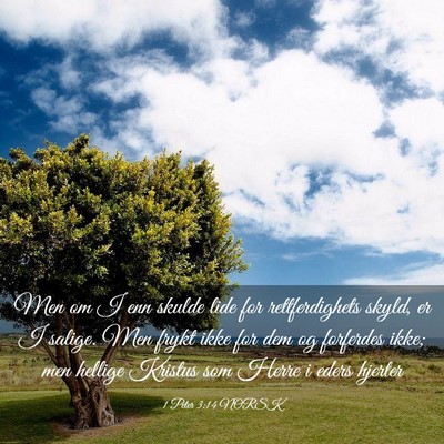 Picture 03 - 1 Peter 3:14 NORSK - Men om I enn skulde lide for rettferdighets - Bible Verse Picture