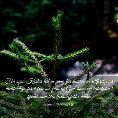 Picture 03 - 1 Peter 3:18 NORSK - For også Kristus led en gang for synder, en - Bible Verse Picture
