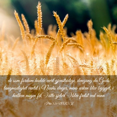 Picture 03 - 1 Peter 3:20 NORSK - de som fordum hadde vært gjenstridige, dengang - Bible Verse Picture