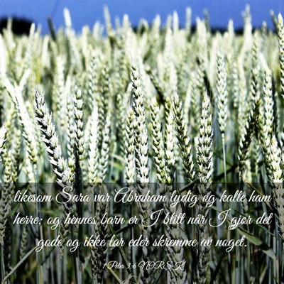 Picture 03 - 1 Peter 3:6 NORSK - likesom Sara var Abraham lydig og kalte ham - Bible Verse Picture