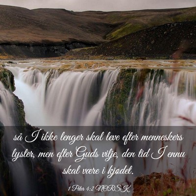Picture 03 - 1 Peter 4:2 NORSK - så I ikke lenger skal leve efter menneskers - Bible Verse Picture