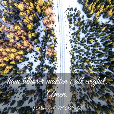 Picture 03 - 1 Peter 5:11 NORSK - ham tilhører makten i all evighet. - Bible Verse Picture