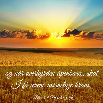 Picture 03 - 1 Peter 5:4 NORSK - og når overhyrden åpenbares, skal I få ærens - Bible Verse Picture