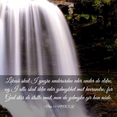 Picture 03 - 1 Peter 5:5 NORSK - Likeså skal I yngre underordne eder under de - Bible Verse Picture