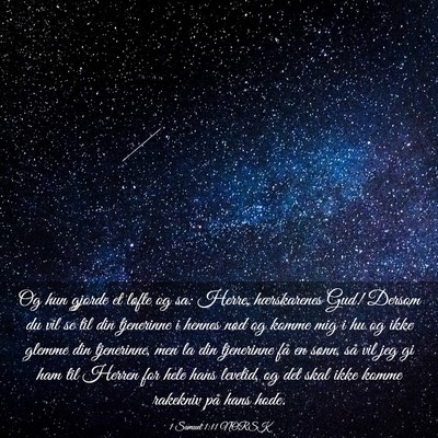 Picture 03 - 1 Samuel 1:11 NORSK - Og hun gjorde et løfte og sa: Herre, - Bible Verse Picture
