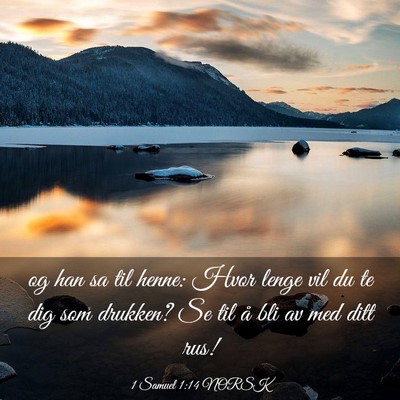 Picture 03 - 1 Samuel 1:14 NORSK - og han sa til henne: Hvor lenge vil du te dig som - Bible Verse Picture