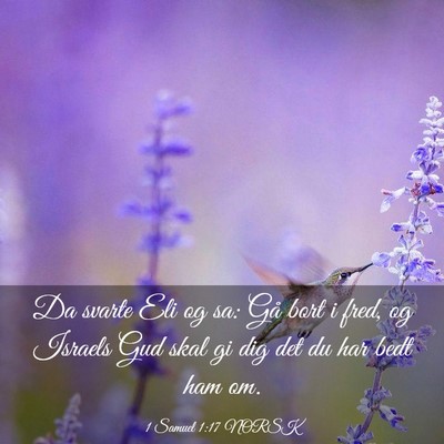 Picture 03 - 1 Samuel 1:17 NORSK - Da svarte Eli og sa: Gå bort i fred, og Israels - Bible Verse Picture