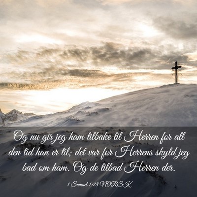 Picture 03 - 1 Samuel 1:28 NORSK - Og nu gir jeg ham tilbake til Herren for all den - Bible Verse Picture