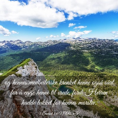 Picture 03 - 1 Samuel 1:6 NORSK - og hennes medbeilerske krenket henne også sårt - Bible Verse Picture