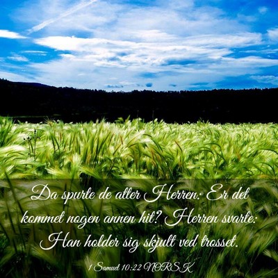 Picture 03 - 1 Samuel 10:22 NORSK - Da spurte de atter Herren: Er det kommet nogen - Bible Verse Picture