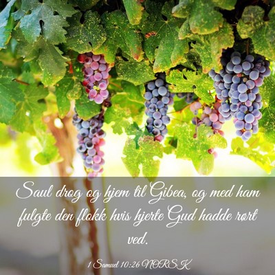 Picture 03 - 1 Samuel 10:26 NORSK - Saul drog og hjem til Gibea, og med ham fulgte - Bible Verse Picture