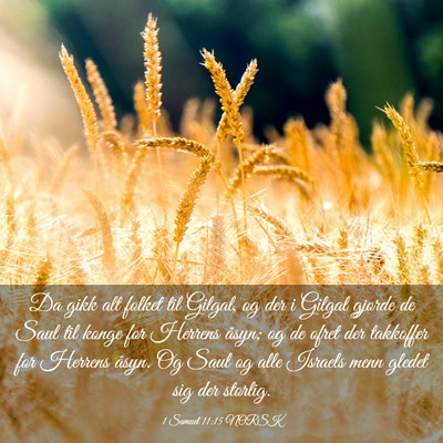 Picture 03 - 1 Samuel 11:15 NORSK - Da gikk alt folket til Gilgal, og der i Gilgal - Bible Verse Picture