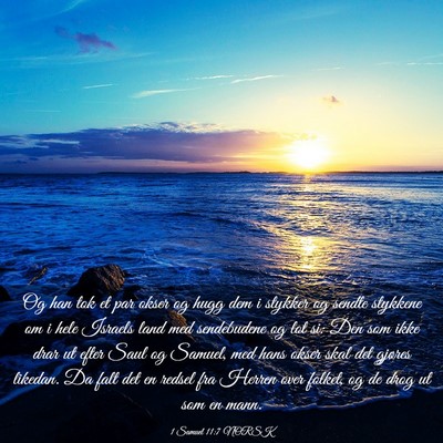 Picture 03 - 1 Samuel 11:7 NORSK - Og han tok et par okser og hugg dem i stykker og - Bible Verse Picture