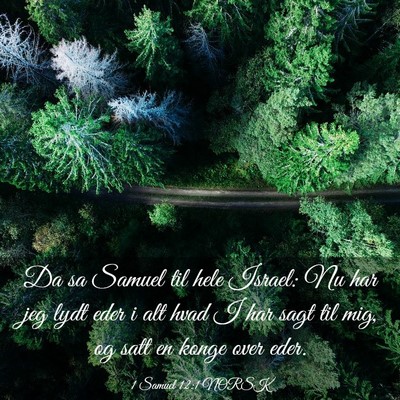 Picture 03 - 1 Samuel 12:1 NORSK - Da sa Samuel til hele Israel: Nu har jeg lydt - Bible Verse Picture