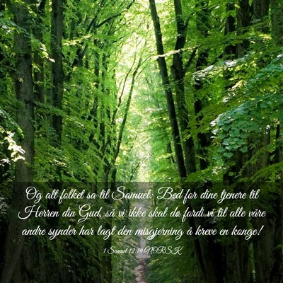 Picture 03 - 1 Samuel 12:19 NORSK - Og alt folket sa til Samuel: Bed for dine tjenere - Bible Verse Picture