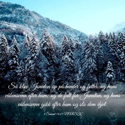 Picture 03 - 1 Samuel 14:13 NORSK - Så kløv Jonatan op på hender og føtter, og - Bible Verse Picture