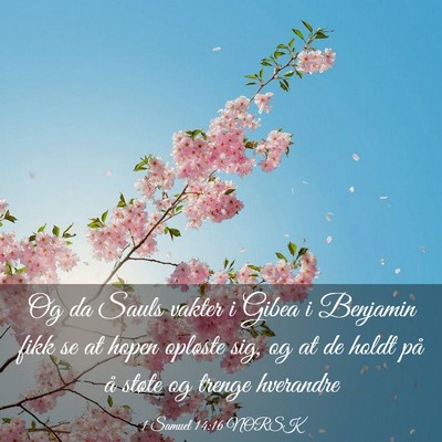 Picture 03 - 1 Samuel 14:16 NORSK - Og da Sauls vakter i Gibea i Benjamin fikk se at - Bible Verse Picture
