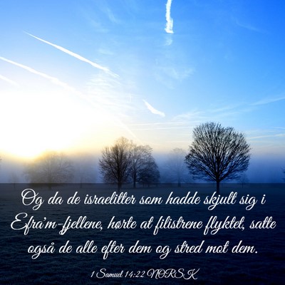 Picture 03 - 1 Samuel 14:22 NORSK - Og da de israelitter som hadde skjult sig i - Bible Verse Picture
