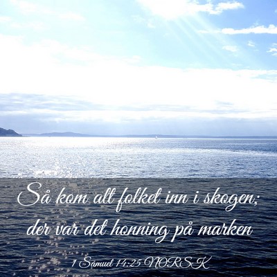 Picture 03 - 1 Samuel 14:25 NORSK - Så kom alt folket inn i skogen; der var det - Bible Verse Picture
