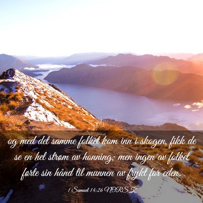 Picture 03 - 1 Samuel 14:26 NORSK - og med det samme folket kom inn i skogen, fikk de - Bible Verse Picture