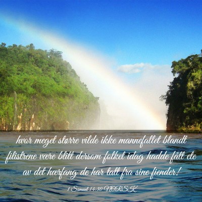 Picture 03 - 1 Samuel 14:30 NORSK - hvor meget større vilde ikke mannefallet blandt - Bible Verse Picture