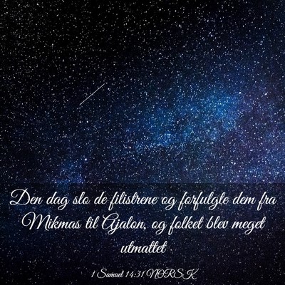 Picture 03 - 1 Samuel 14:31 NORSK - Den dag slo de filistrene og forfulgte dem fra - Bible Verse Picture