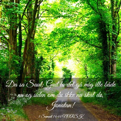 Picture 03 - 1 Samuel 14:44 NORSK - Da sa Saul: Gud la det gå mig ille både nu og - Bible Verse Picture