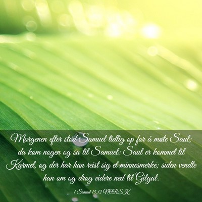 Picture 03 - 1 Samuel 15:12 NORSK - Morgenen efter stod Samuel tidlig op for å møte - Bible Verse Picture