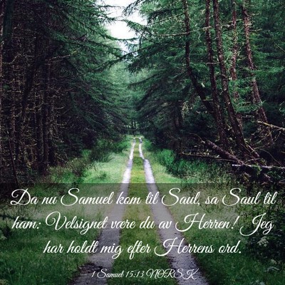 Picture 03 - 1 Samuel 15:13 NORSK - Da nu Samuel kom til Saul, sa Saul til ham: - Bible Verse Picture