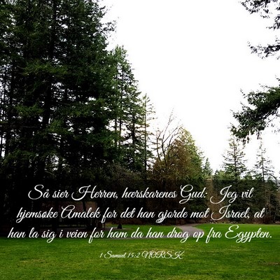 Picture 03 - 1 Samuel 15:2 NORSK - Så sier Herren, hærskarenes Gud: Jeg vil - Bible Verse Picture
