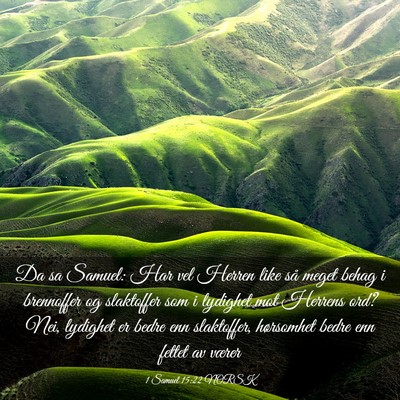 Picture 03 - 1 Samuel 15:22 NORSK - Da sa Samuel: Har vel Herren like så meget behag - Bible Verse Picture