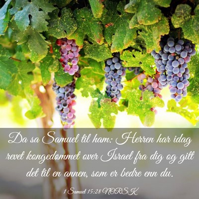 Picture 03 - 1 Samuel 15:28 NORSK - Da sa Samuel til ham: Herren har idag revet - Bible Verse Picture