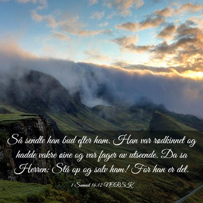 Picture 03 - 1 Samuel 16:12 NORSK - Så sendte han bud efter ham. Han var rødkinnet - Bible Verse Picture
