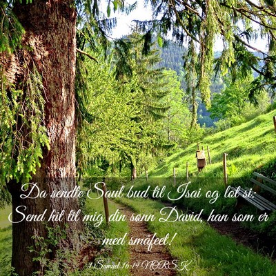 Picture 03 - 1 Samuel 16:19 NORSK - Da sendte Saul bud til Isai og lot si: Send hit - Bible Verse Picture