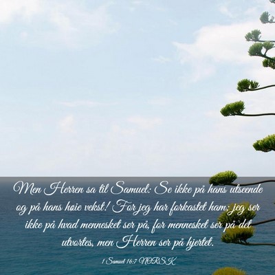 Picture 03 - 1 Samuel 16:7 NORSK - Men Herren sa til Samuel: Se ikke på hans - Bible Verse Picture