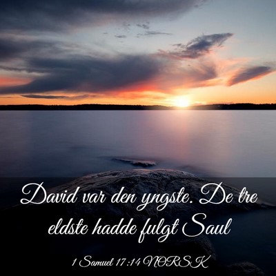 Picture 03 - 1 Samuel 17:14 NORSK - David var den yngste. De tre eldste hadde fulgt - Bible Verse Picture