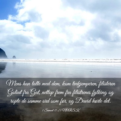 Picture 03 - 1 Samuel 17:23 NORSK - Mens han talte med dem, kom tvekjemperen, - Bible Verse Picture