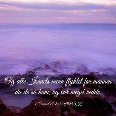 Picture 03 - 1 Samuel 17:24 NORSK - Og alle Israels menn flyktet for mannen da de så - Bible Verse Picture