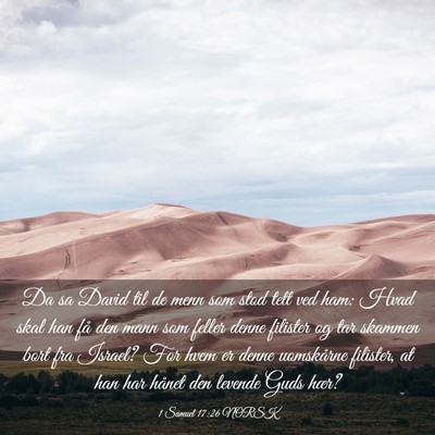 Picture 03 - 1 Samuel 17:26 NORSK - Da sa David til de menn som stod tett ved ham: - Bible Verse Picture