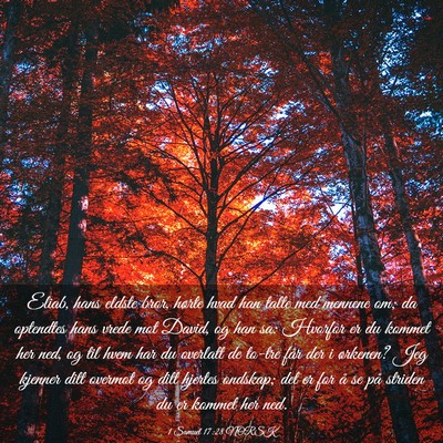 Picture 03 - 1 Samuel 17:28 NORSK - Eliab, hans eldste bror, hørte hvad han talte - Bible Verse Picture