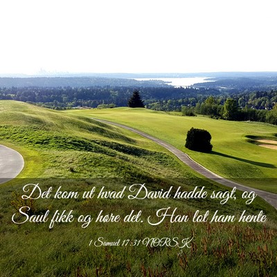Picture 03 - 1 Samuel 17:31 NORSK - Det kom ut hvad David hadde sagt, og Saul fikk og - Bible Verse Picture
