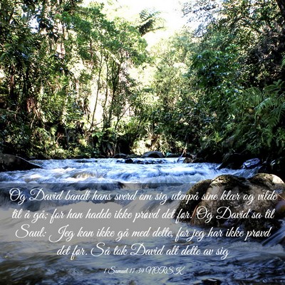 Picture 03 - 1 Samuel 17:39 NORSK - Og David bandt hans sverd om sig utenpå sine - Bible Verse Picture