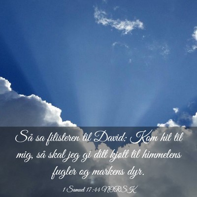 Picture 03 - 1 Samuel 17:44 NORSK - Så sa filisteren til David: Kom hit til mig, så - Bible Verse Picture