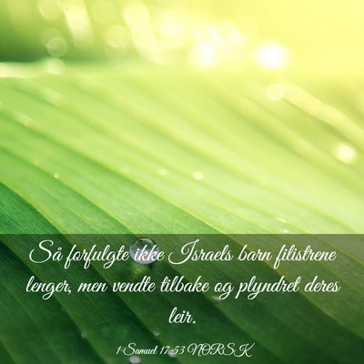 Picture 03 - 1 Samuel 17:53 NORSK - Så forfulgte ikke Israels barn filistrene - Bible Verse Picture